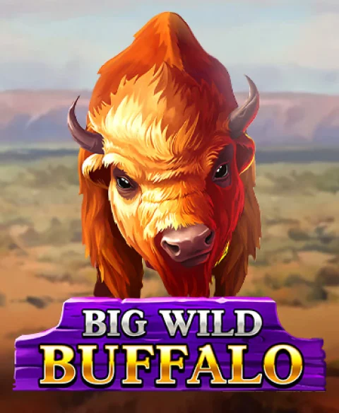 Play Big Wild Buffalo at Play World Casino